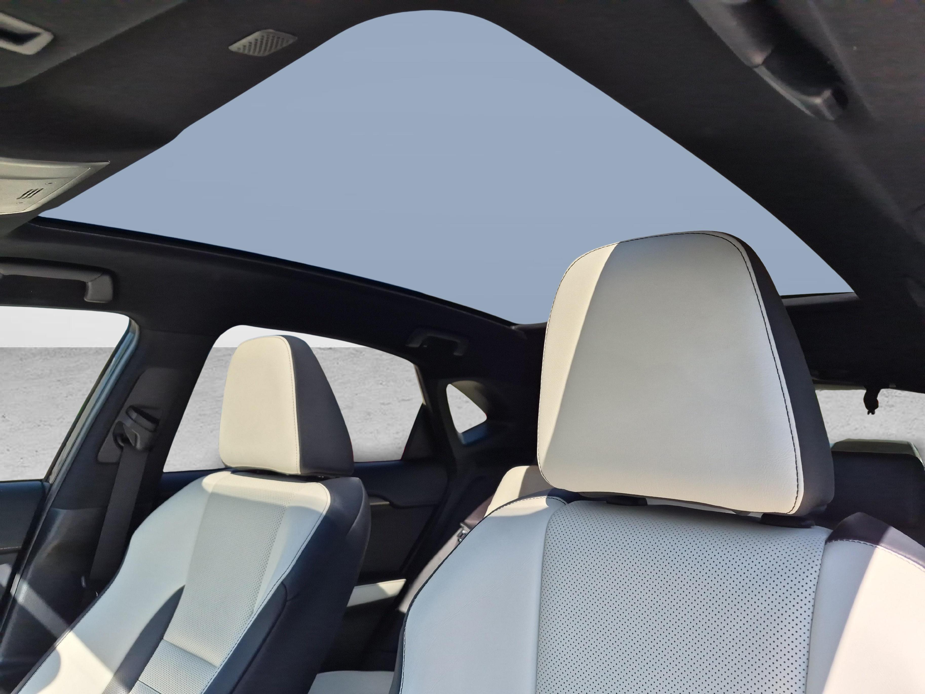 LEXUS NX 300h F-Sport / ab 3,99% Leasing bei Abschluss einer Protect Autoversicherung_18