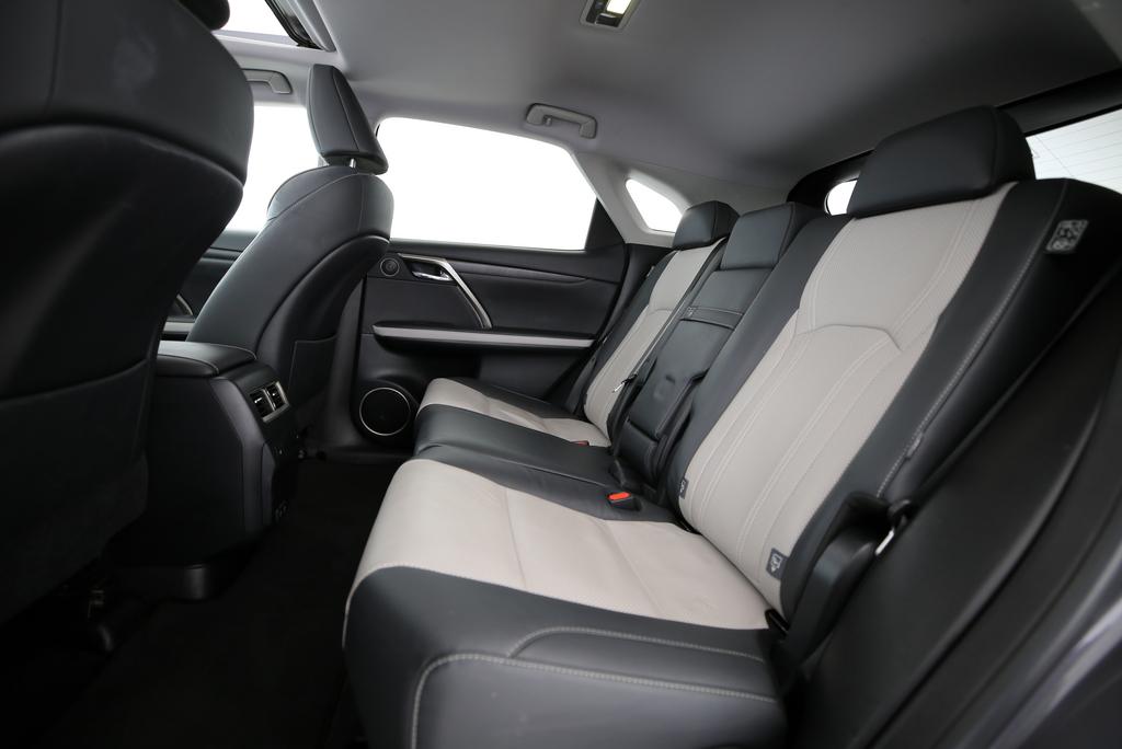 LEXUS RX 300 Special Edition_6
