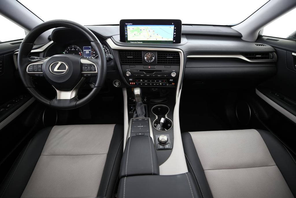 LEXUS RX 300 Special Edition_5