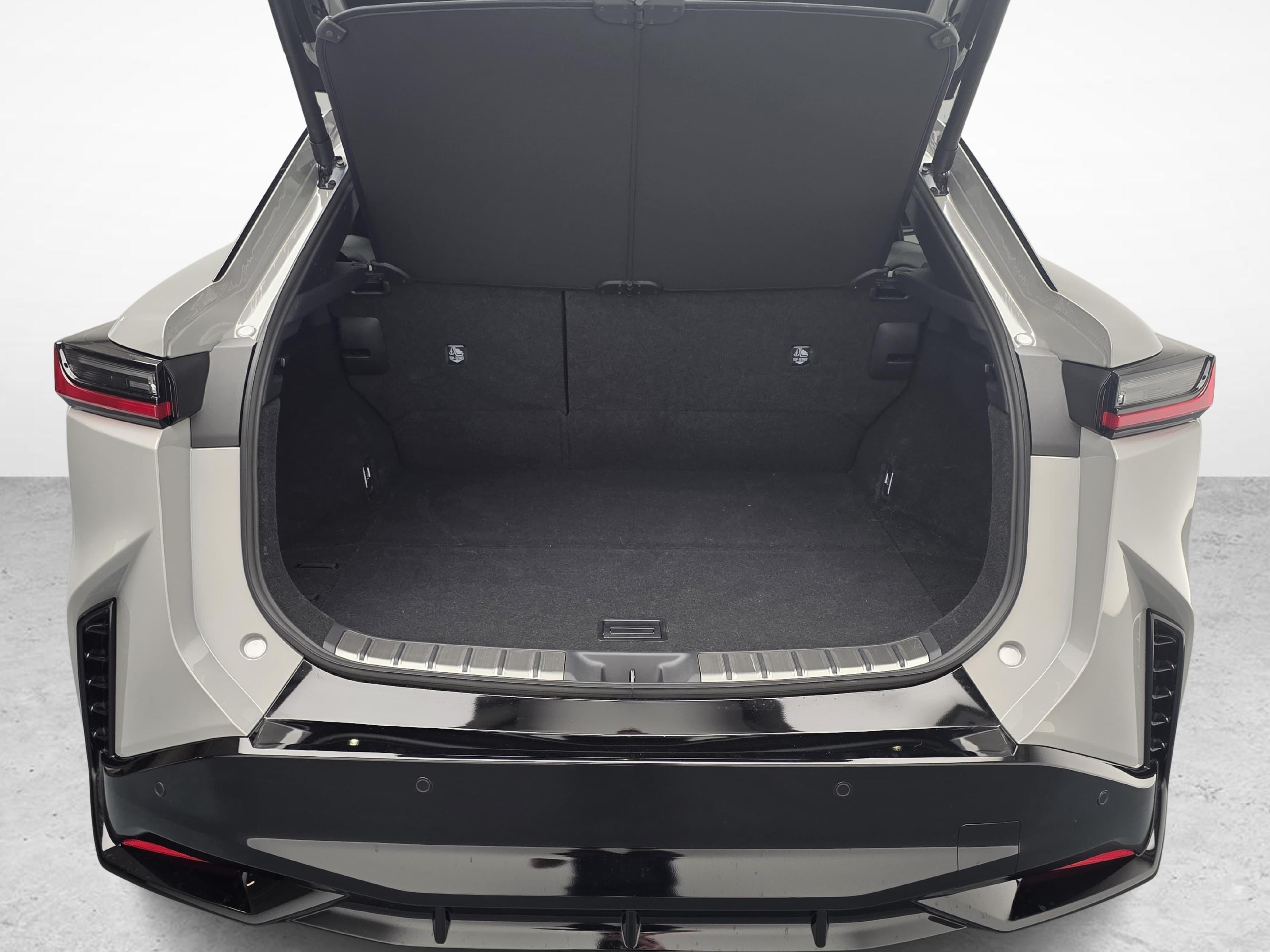 LEXUS RZ 550e F Sport_12