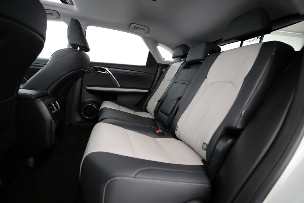 LEXUS RX 300 Special Edition_8