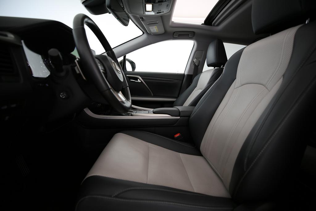 LEXUS RX 300 Special Edition_3